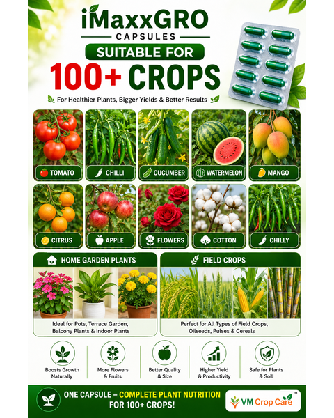 VM Cropcare Imaxx-Gro Growth Promoter