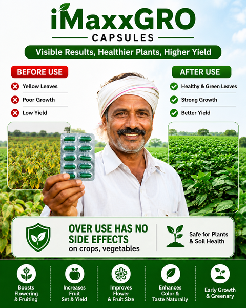 VM Cropcare Imaxx-Gro Growth Promoter