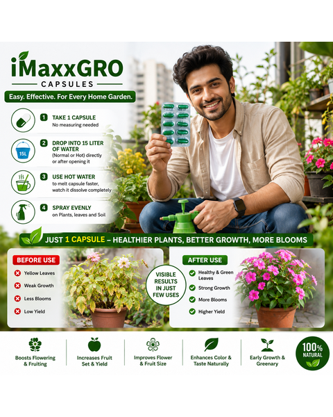 VM Cropcare Imaxx-Gro Growth Promoter