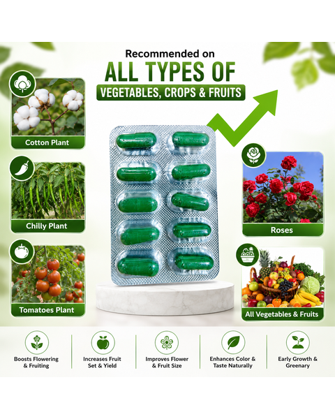 VM Cropcare Imaxx-Gro Growth Promoter