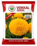 VOKKAL - AKASH - Marigold