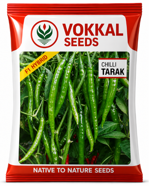 Vokkal Tarak Hybrid Chilli- Green, 16-18cm, Glossy Fruit, High Yield