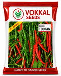 Vokkal Toofan Chilli Hybrid- Semi-Erect, 8-10cm Fruit, High Yield