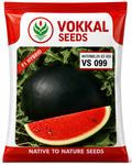 Vokkal VS 099 Watermelon- Oval Shape, 4-6kg, Red Flesh, High TSS
