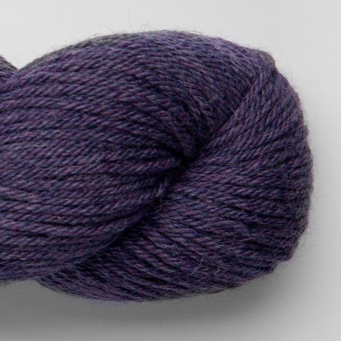 6014 - Orchid