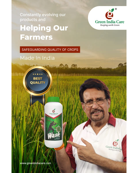 WASH Insecticide