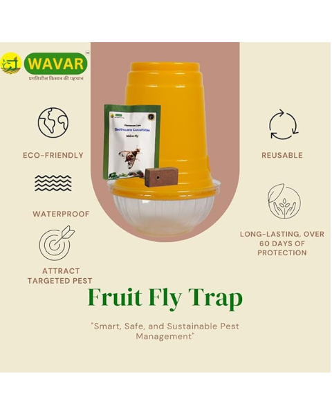 WAVAR FRUIT FLY TRAP DORSALIS LURE