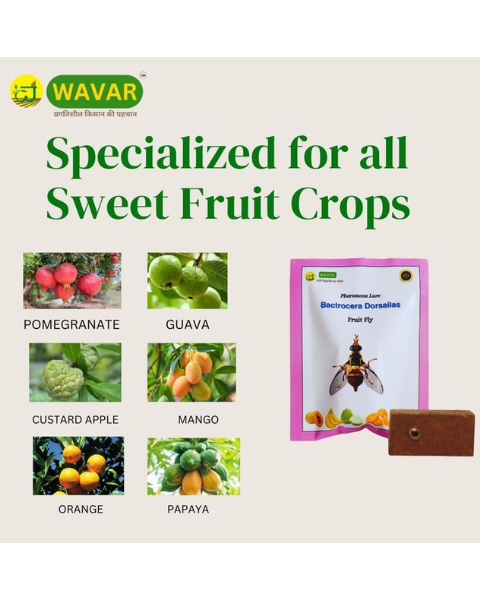WAVAR FRUIT FLY TRAP DORSALIS LURE