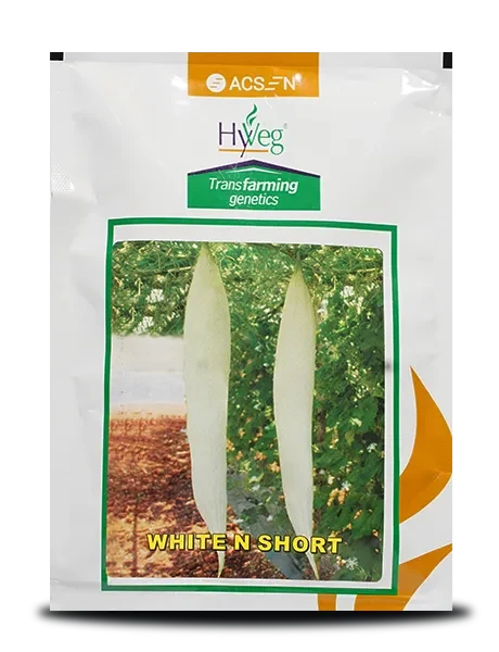 WHITE N SHORT SNAKE GOURD F1