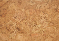 Wicanders Inspire Originals Shell Cork Flooring