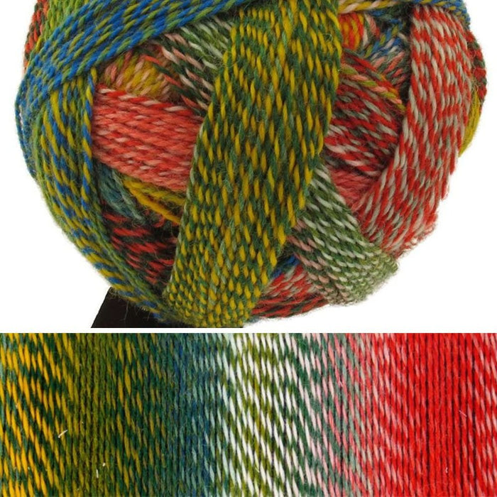 Zauberball Crazy | Schoppel Wolle - This is Knit