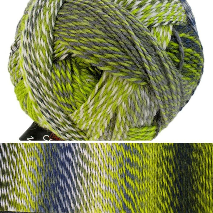 Zauberball Crazy | Schoppel Wolle - This is Knit